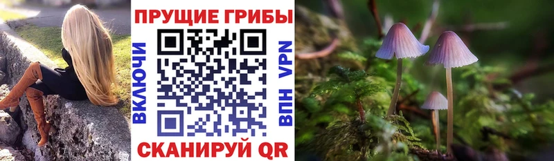 Галлюциногенные грибы мицелий  Киренск 
