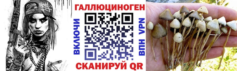 Псилоцибиновые грибы мухоморы Киренск