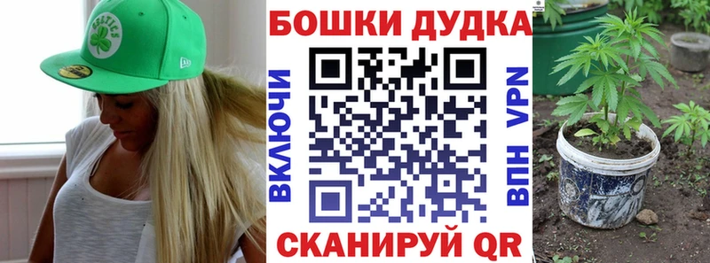 магазин продажи наркотиков  Киренск  Канабис семена 